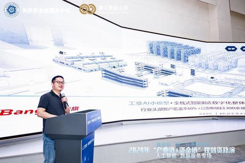 长沙市2024年产融对接会启幕 人工智能与数据服务产业链迎来新机遇